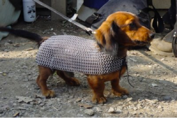 Dog armor